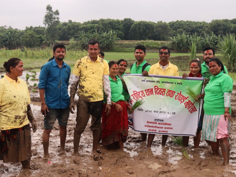 बेलडाँडीमा पनि १९ औँ राष्ट्रिय धान दिवस